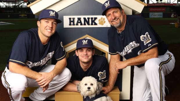 Dog Days in Milwaukee